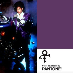 Prince é homenageado pela Pantone com cor púrpura personalizada! Prince é homenageado pela Pantone com cor púrpura personalizada!