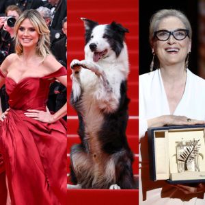 Meryl Streep é homenageada no <i>Festival de Cannes</i>; confira os <i>looks</i> dos famosos no evento