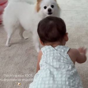 Amanda Kimberlly encanta ao mostrar Helena engatinhando e diz que <i>pet</i> ajudou. Veja os melhores momentos da terceira filha de Neymar Jr.