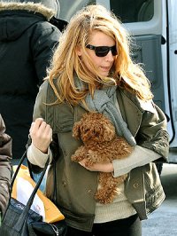 Pelúcia? : Olha o cachorrinho de Blake Lively