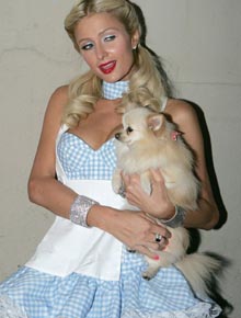 Halloween: Paris Hilton arruma confusão em festa