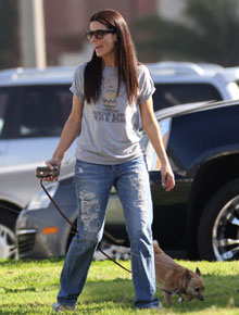 Amigo cão: Sandra Bullock passeia com cadelinha