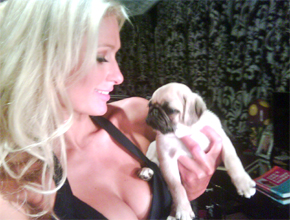 Cãozinho: Paris Hilton tem novo companheiro