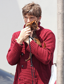 <i>I love my pet</i>: Ashton Kutcher mima cãozinho