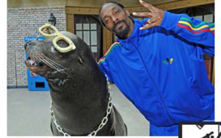 Sea World: Snoop Dogg posa com leão marinho - Estrelando