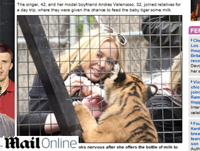 Fofo: Kylie Minogue se encanta com filhote de tigre