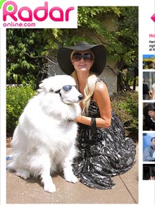 <i>Xiiis</i>: Paris Hilton se encanta por <i>pet</i> estiloso