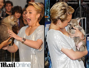 Que fofo!: Panettiere carrega filhote de lobo em evento