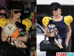 <i>Fashion</i>: Paris Hilton veste cães com roupinhas diferentes
