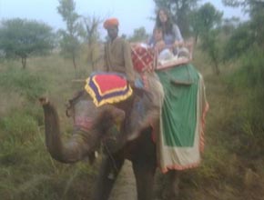 Índia: Elizabeth Hurley e filho passeiam em elefante