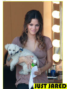 Colo: Rachel Bilson deixa <i>set</i> com cachorrinho