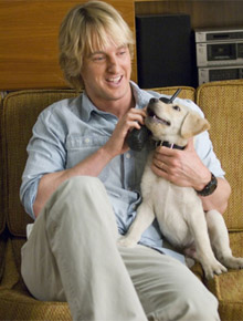 <i>Carros 2</i>: Owen Wilson vai dublar animação