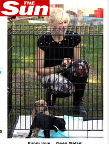 Au-au: Gwen Stefani brinca com filhotes