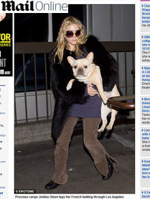 <i>Au au!</i>: Ashely Olsen carrega cachorro em aeroporto