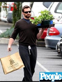 Jardim: Hugh Jackman compra plantas