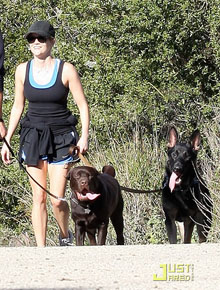 Caminhada: Reese Witherspoon passeia com <i>pets</i>