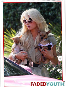 Colo: Paris Hilton passeia com os cachorrinhos