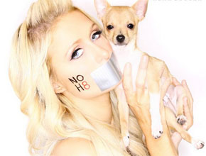 Pró-<i>gays</i>: Paris Hilton posa com <i>pet</i>