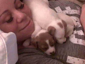 Fofura: Mariah Carey posa cachorrinhos