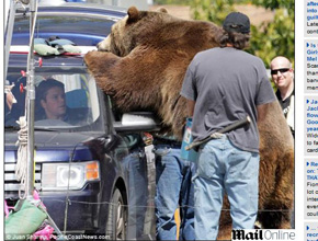 Susto: Matt Damon fica cara a cara com urso