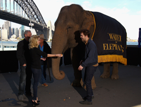 Com elefante: Pattinson e Reese lançam longa