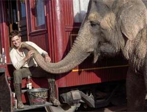 Quê?: Robert Pattinson aceitou papel por elefante
