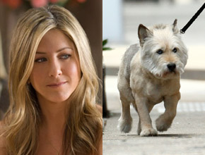 Adeus: Morre Norman, cachorro de Jennifer Aniston