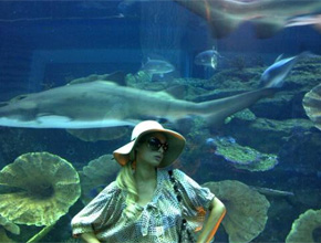 Dubai: Paris Hilton posta foto em <i>shopping</i>