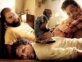 <i>Se Beber...</i>: Bradley Cooper virou amigo de macaca
