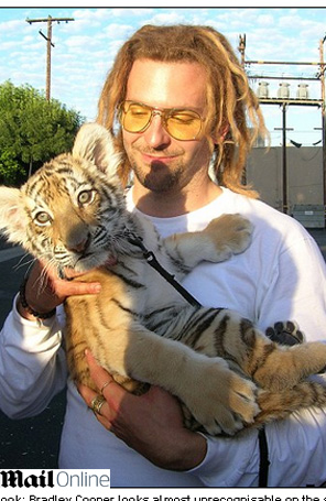 Com dreads, Bradley Cooper mima filhote de tigre