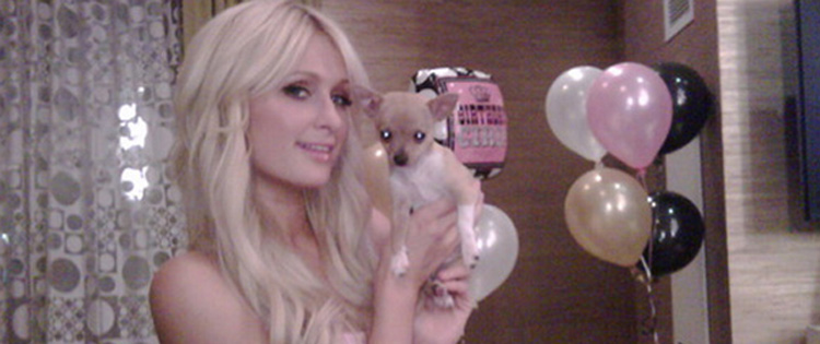 Paris Hilton investe em imóveis