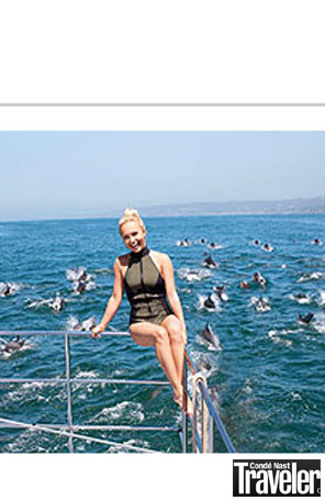 Hayden Panettiere ajuda baleias e golfinhos