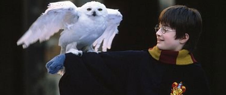 Daniel Radcliffe diz que seus pais rejeitaram papel de Harry Potter
