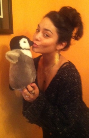 Vanessa Hudgens adota pingüim