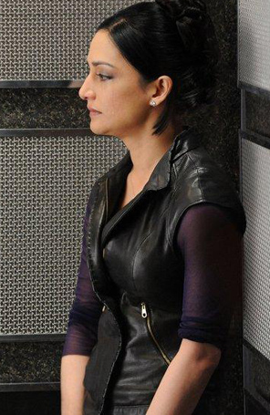 Marido de Kalinda vai aparecer em <i>The Good Wife</i>