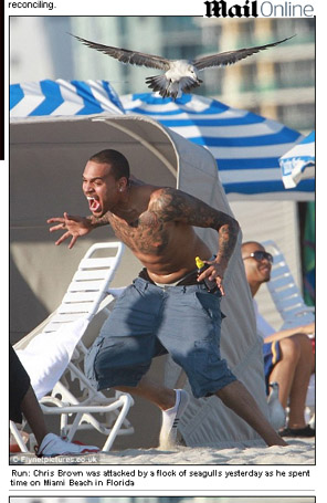 Chris Brown faz careta para espantar gaivotas em praia