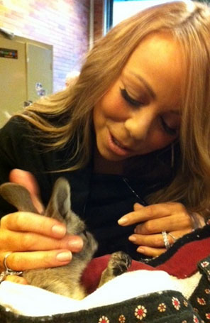 Mariah Carey posa com filhote de canguru