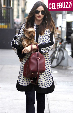 Miranda Kerr leva seu cachorrinho para passear em Nova Iorque