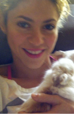Shakira divulga foto de um dos seus <i>pets</i>