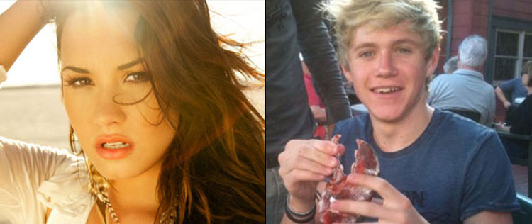 Saiba por qual membro do <I>One Direction</i> Demi Lovato tem uma quedinha!