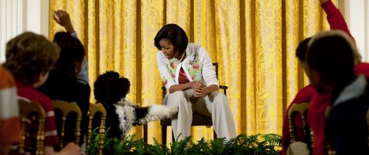 Michelle Obama divulga foto de seu cachorro