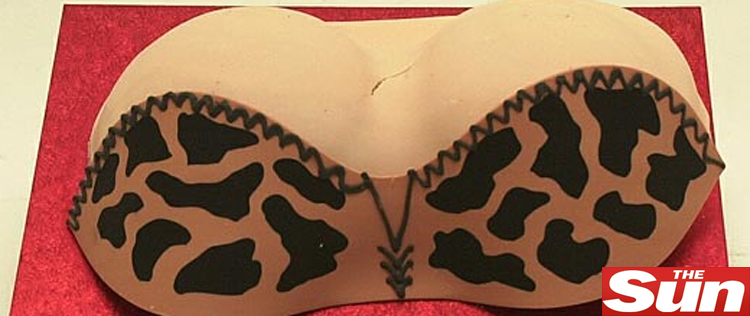 Rihanna manda bolo em forma de seios para Adele