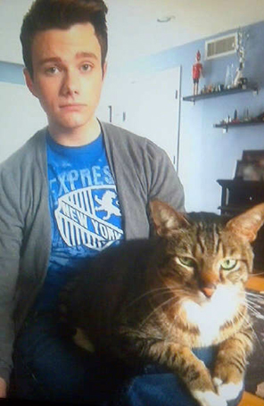 Chris Colfer mostra foto de seu novo gato