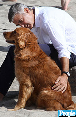 George Clooney é clicado com cachorro na praia