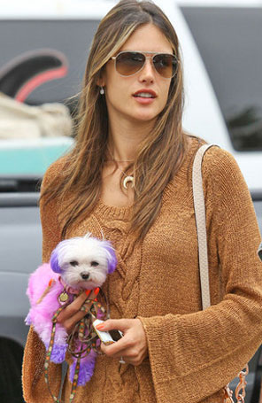 Alessandra Ambrósio é criticada pelo <i>PETA</i>