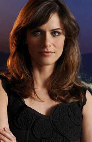 Amanda Peet vai participar de <i>The Good Wife</i>