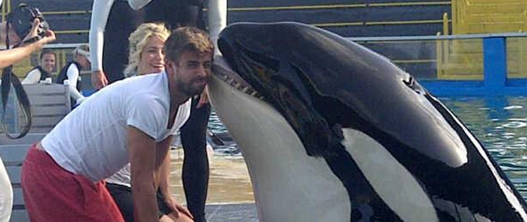 Namorado de Shakira ganha beijo de orca
