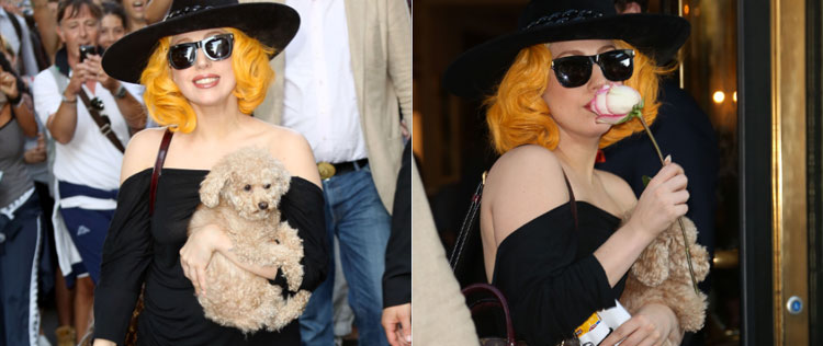 Lady Gaga atende a fãs com cachorro no colo