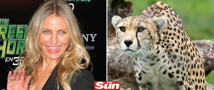 Cameron Diaz dorme com um leopardo ao seu lado