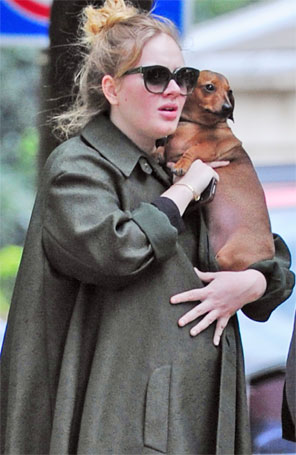 Adele passeia com seu cachorro e mostra o barrigão